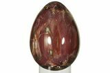 Colorful, Polished Petrified Wood Egg - Madagascar #211144-1